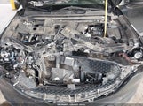 Miniaturka zdjęcia 10