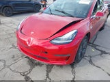 Miniaturka zdjęcia 6