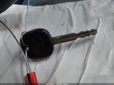 Miniaturka zdjęcia 11