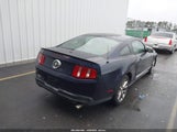 Ford Mustang V6 Premium 1ZVBP8AN1A5120453 fotografie