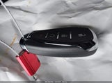 Miniaturka zdjęcia 11