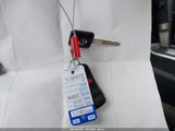 Miniaturka zdjęcia 11
