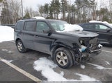 Honda Pilot Ex-L 5FNYF4H64AB031806 fotografie