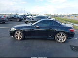 Mercedes-Benz Slk 300 WDDPK3JA4GF121824 fotografie