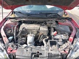 Miniaturka zdjęcia 10
