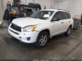 Toyota Rav4 JTMBF4DV3A5018047 fotografie