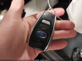 Miniaturka zdjęcia 11
