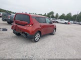 Miniaturka zdjęcia 4