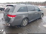 Honda Odyssey Ex-L 5FNRL5H65EB056643 снимка