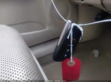 Miniaturka zdjęcia 11