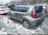 Miniaturka zdjęcia 3