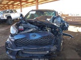 Miniaturka zdjęcia 6