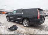 Cadillac Escalade Esv Standard 1GYS4GKJ0GR202073 снимка