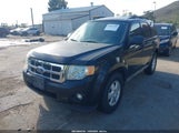 Ford Escape Xlt 1FMCU0D76BKB65420 снимка