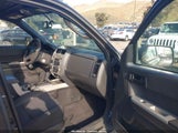 Ford Escape Xlt 1FMCU0D76BKB65420 fotografie