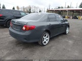 Miniaturka zdjęcia 4