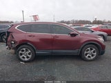 Honda Cr-V Ex-L/Ex-L Navi 7FARW2H81JE065412 photo