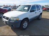 Ford Escape Xlt 1FMYU93165KC91885 снимка