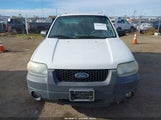 Ford Escape Xlt 1FMYU93165KC91885 снимка