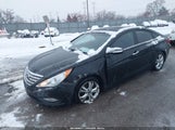 Hyundai Sonata Limited 5NPEC4AC3DH740356 снимка