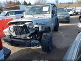 Jeep Wrangler Se 1J4FA29193P349100 снимка