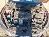 Honda Accord Ex-L 1HGCR2F80EA275236 снимка