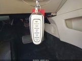 Miniaturka zdjęcia 11