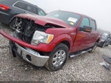 Ford F-150 Xlt 1FTFW1CFXDFC69866 снимка