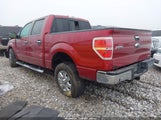 Ford F-150 Xlt 1FTFW1CFXDFC69866 снимка