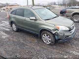 Honda Cr-V Ex-L 5J6RE487X7L013259 photo
