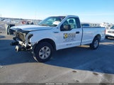 Miniaturka zdjęcia 2