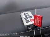 Miniaturka zdjęcia 11