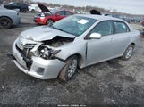 Miniaturka zdjęcia 2