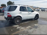 Miniaturka zdjęcia 4