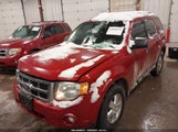 Ford Escape Xlt Automatic 1FMCU0D75BKC34761 photo