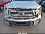 Ford F-150 Xlt 1FTFW1ET1EFC74717 снимка