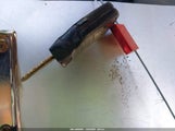 Miniaturka zdjęcia 11