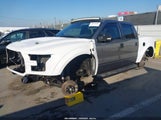 Miniaturka zdjęcia 2