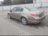 Honda Accord 2.4 Ex-L 1HGCP268X8A125354 photo