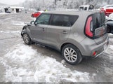 Miniaturka zdjęcia 3