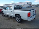 Ram Dakota Bighorn/Lonestar 1D7RW3GK0BS575100 fotografie