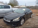 Nissan Maxima 3.5 Sv 1N4AA5AP1EC444512 снимка