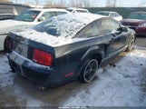 Ford Mustang Gt Deluxe/Gt Premium 1ZVHT82H475316202 fotografie