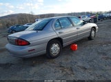 Chevrolet Lumina 2G1WL52M7V1176854 снимка