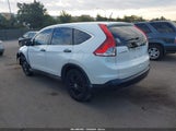 Honda Cr-V Lx 5J6RM3H31DL024897 снимка
