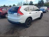 Honda Cr-V Lx 5J6RM3H31DL024897 снимка