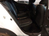 Miniaturka zdjęcia 8