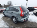 Miniaturka zdjęcia 3