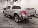 Ford F-150 Fx4/Harley-Davidson/King Ranch/Lariat/Platinum/Xl/Xlt 1FTFW1EV7AFB79946 снимка