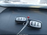 Miniaturka zdjęcia 11